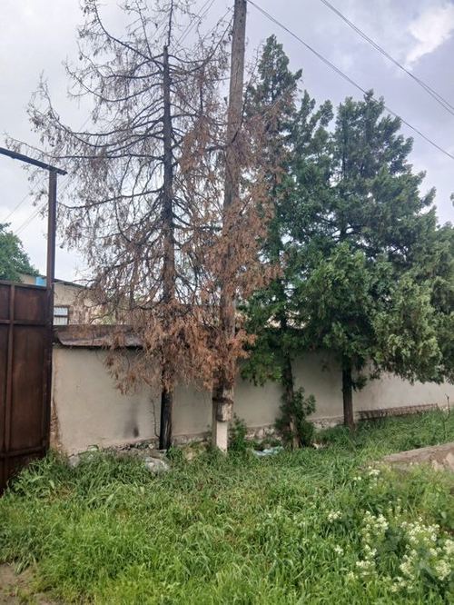 Бино сотилади ёки арендага берилади