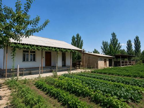 36 SOTIXLI DACHA sotiladi (Kelishiladi)