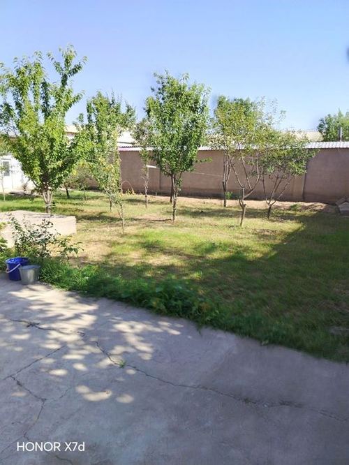 8-xonali dacha, 600 m²