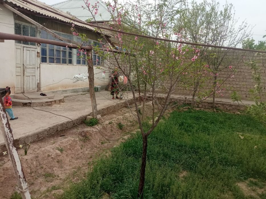 5-room house, 600 m², Янги Миришкор, for sale