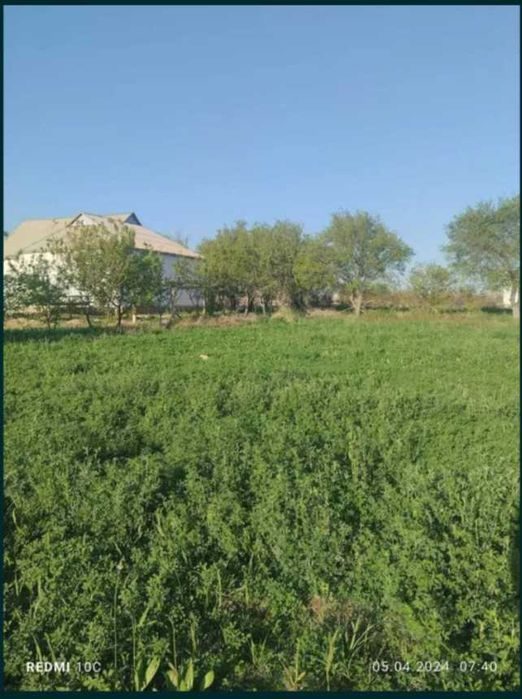 2-room dacha, 51.5 m², Termez, for sale