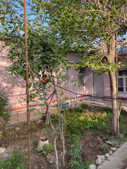6-xonali uy, 130 m², Termiz, sotuvga