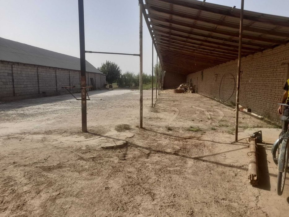 1-room house part, 1000 m², Termez, for sale