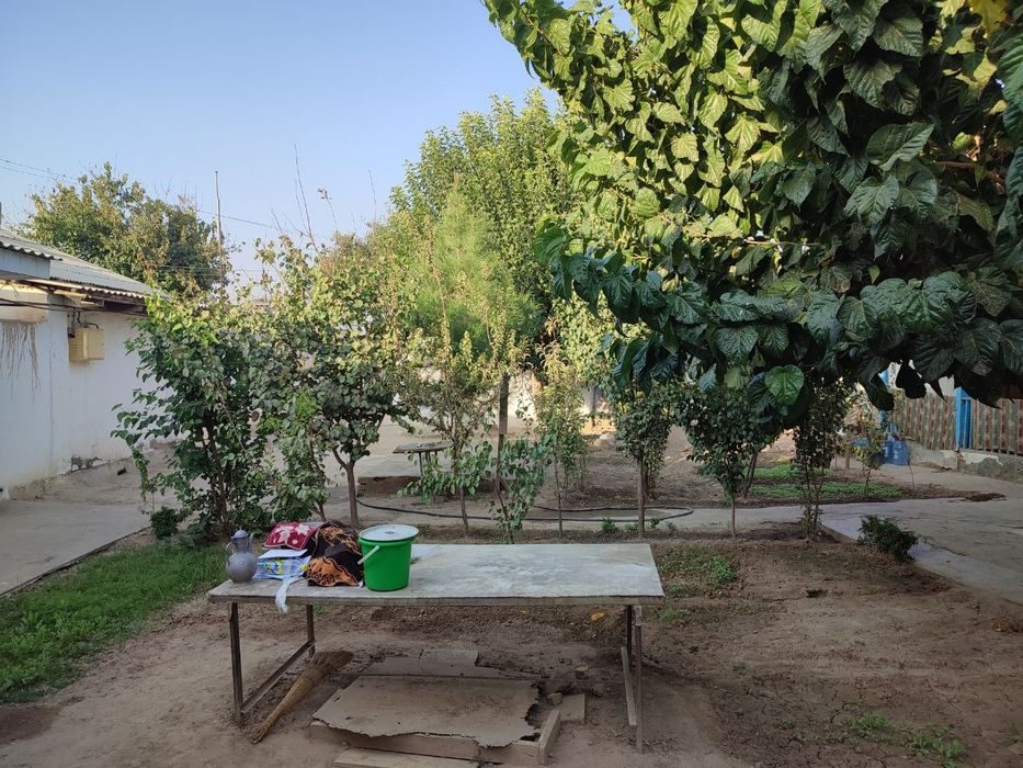 2-xonali uy, 50 m², Termiz, sotuvga