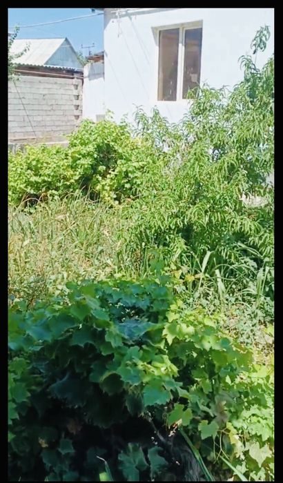 5-room house, 250 m², Termez, for sale