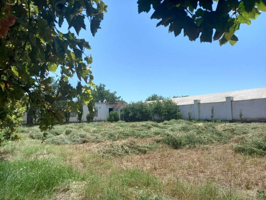 8-xonali uy, 1300 m², Termiz, sotuvga