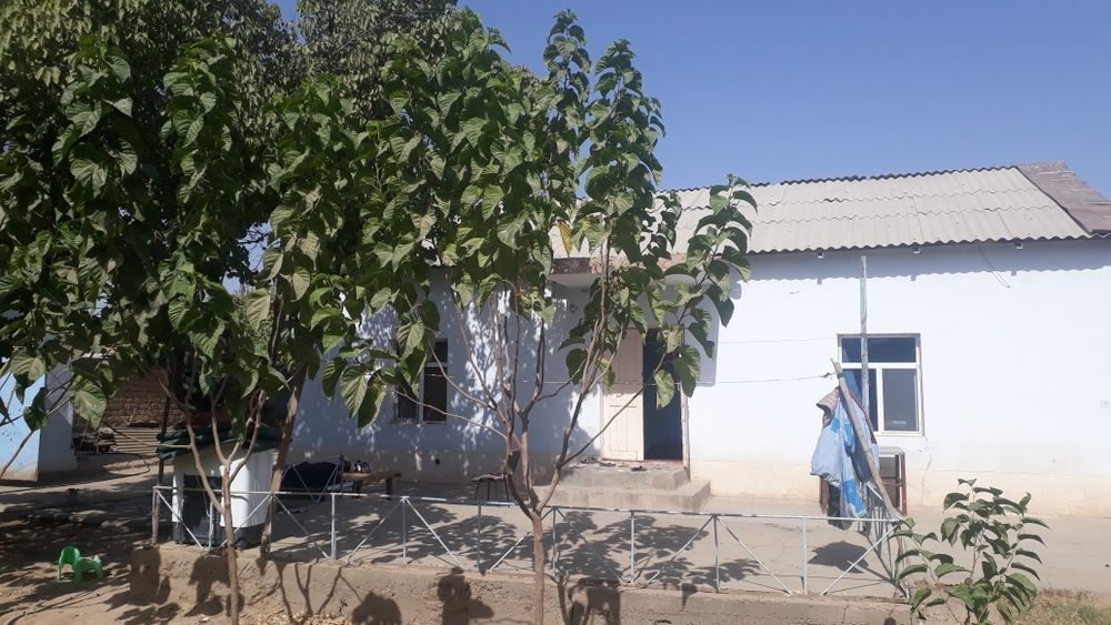 5-room dacha, 15 m², Termez, for sale