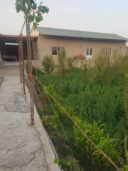 4-room dacha, 2400 m², Bukhara, for sale