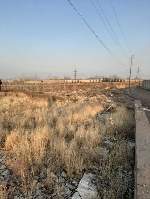 1-комнатная дача, 1000 м²