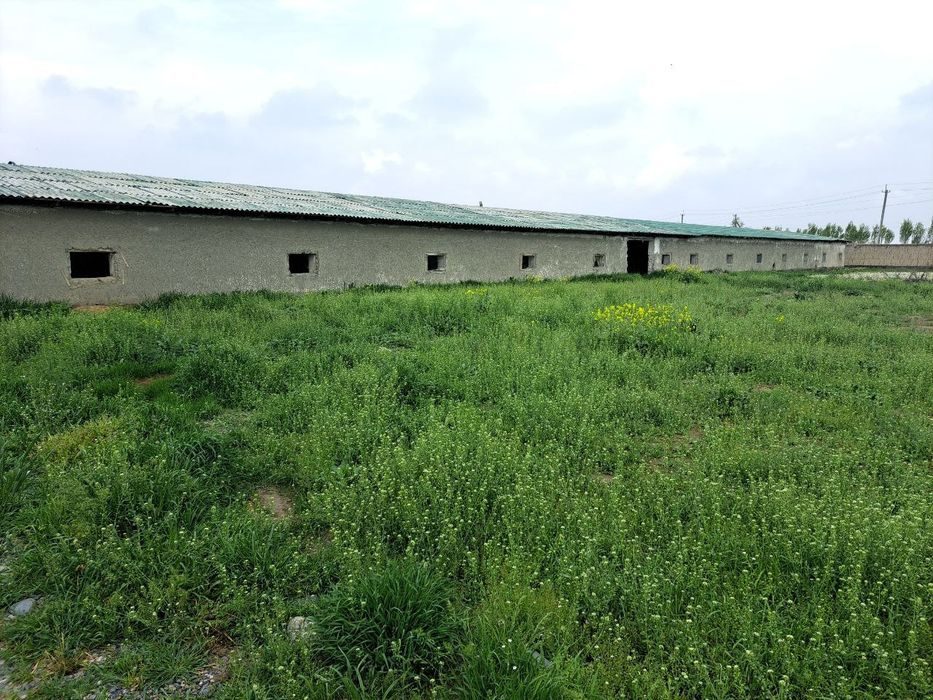 3-xonali dacha, 7000 m², Samarqand, sotuvga