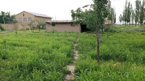2-room house, 5 m²