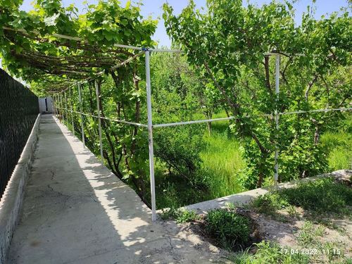 1-room house part, 20 m²