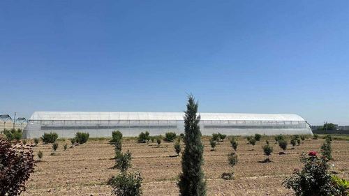 Арендага теплица берилади 1 гектар