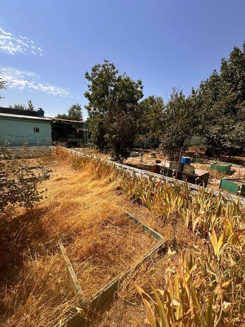Земля под строительство Мирзо-Улугбекский район, Чингильды