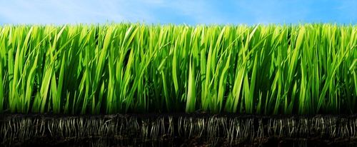 Продается земля под застройку в мирзо улугбекском районе