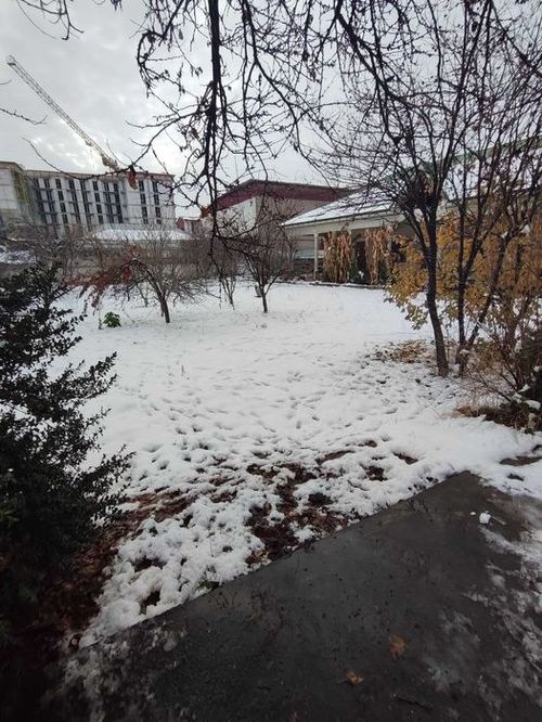 ПРОДАЁТСЯ УЧАСТОК вдоль дороги Карасу - 6