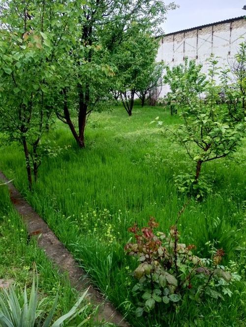 Мирзо Улугбекский район 6 соток