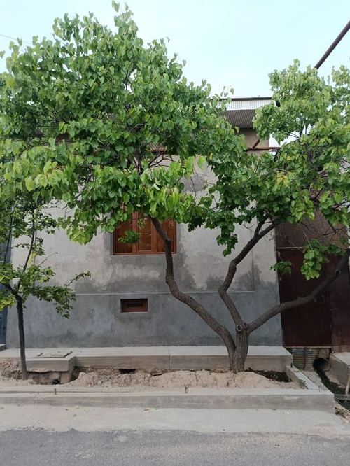 2-room house part, 40 m²