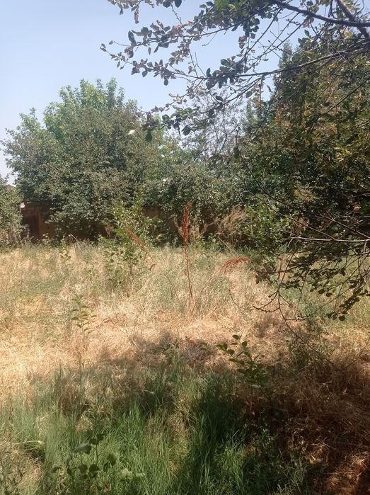 Мурод кипчакбаев