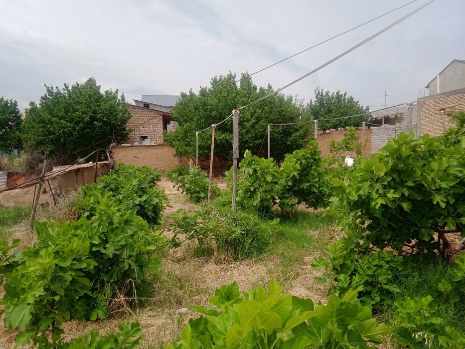 6 sotik bog sotiladi. 20tub anjiri bor suv gaz svetdan Momo yoqkochasi