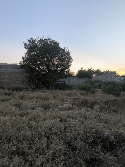 Продаётся земельный участок, Дурмень, Саниф, Кибрайский район