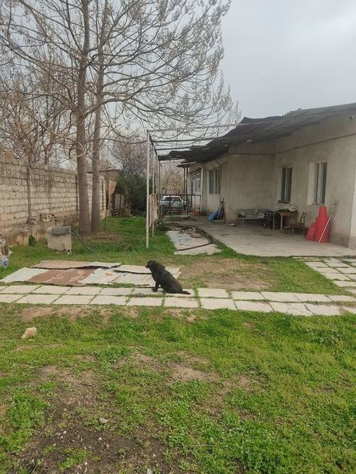 Участок 33 сотки Майский посёлок Кибрайский район