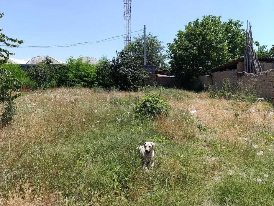 Продается своя участка под 3 котеджей (АРГИН рядом с Дурмон)