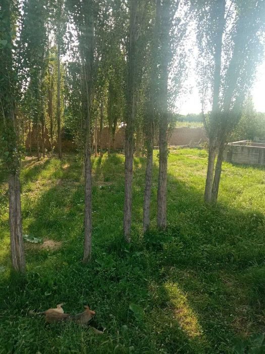 Ер майдони сотилади