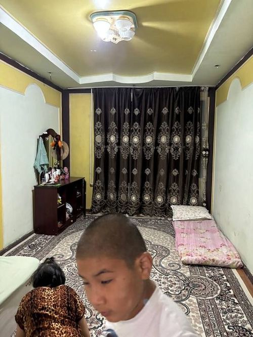 2-room apartment, 50 m²