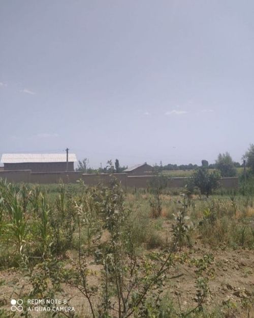 Nazabekda yer sotiladi