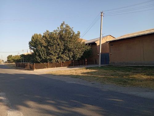 3-room house, 800 m²