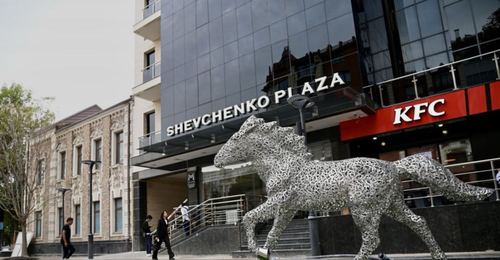 Сдам помещение Шевченко Plaza 50м2