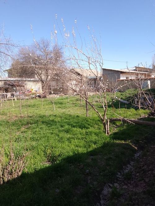 3-xonali uy, 100 m²