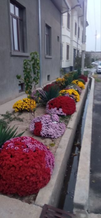 6-room house, 6 m², Коксарай, for sale