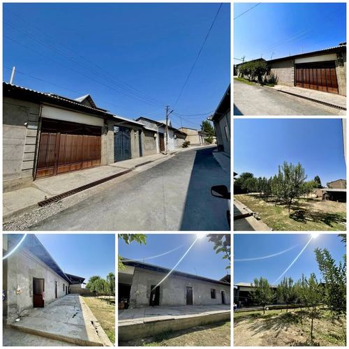 Oltintepa 50 yili mahalada 6,6 sotix yer sotiladi.Fasad 25m 26m Srocno