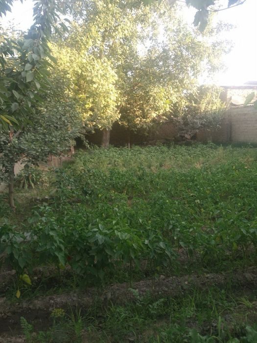 3-room house, 6 m², Tashkent, Bektemir District, for sale