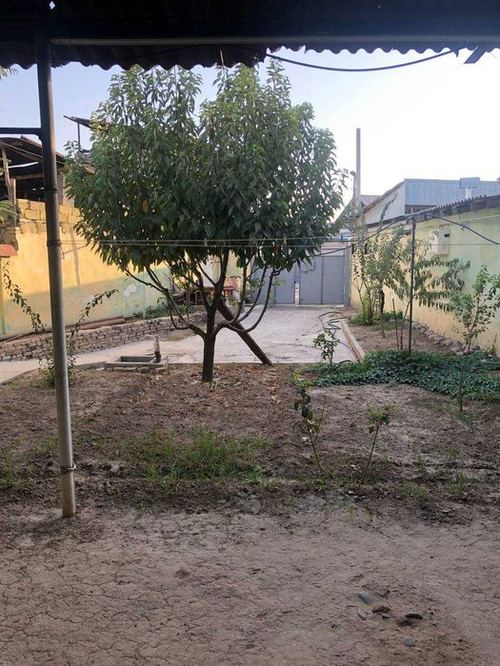 3-xonali uy, 300 m²
