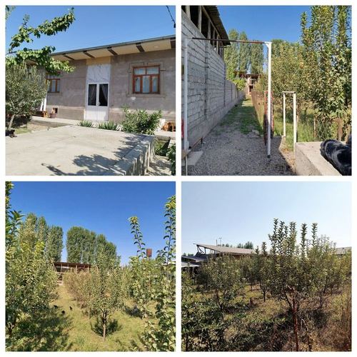 4-xonali uy, 1500 m²