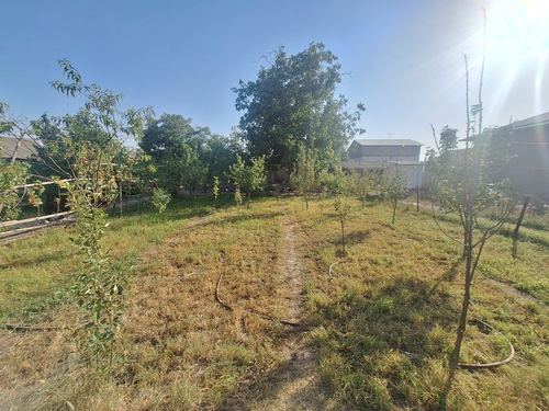 Барданкулда 4 соток срочно сотилади