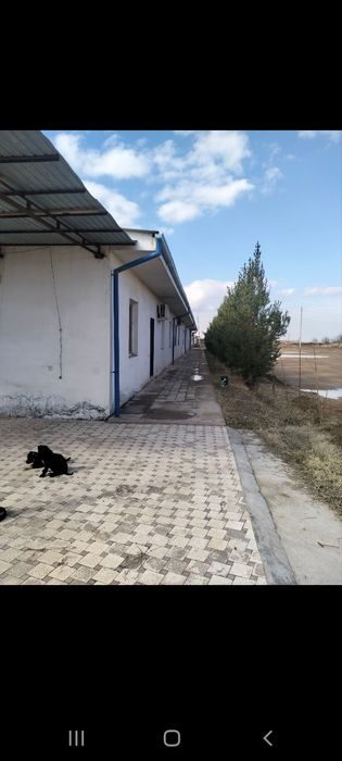 Таш.область земельные участки от 26 до 250 соток