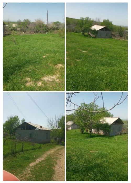 2-room dacha, 12000 m²