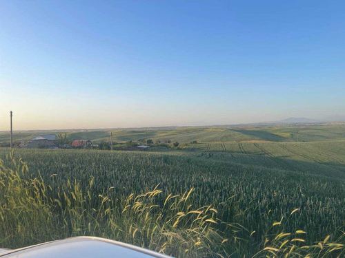 4-room cottage, 1200 m²