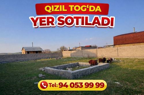 Parkent tumani Qizil tog'da dacha uchun mo'ljallangan yer sotiladi