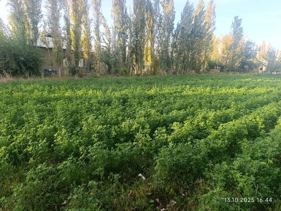 2-room house part, 6 m², Красногорск, for sale