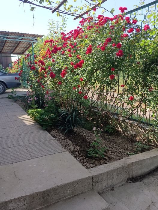 1-xonali dacha, 50 m², Красногорск, ijaraga