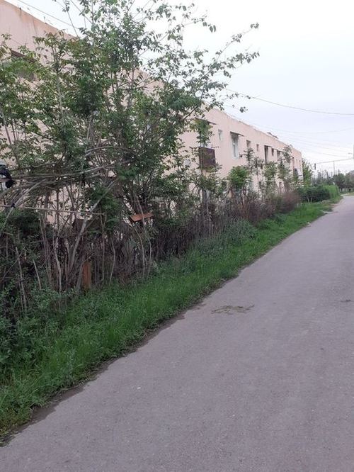 1-xonali kvartira, 46 m²