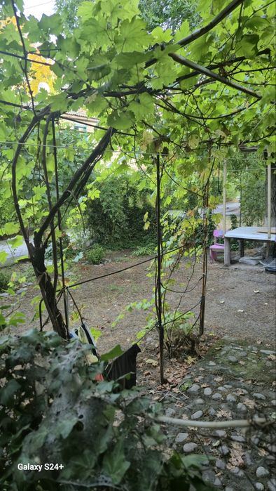 1-xonali kvartira, 31 m²