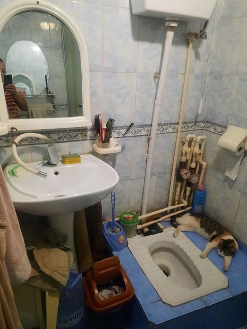 1-комнатная квартира, 24 м²