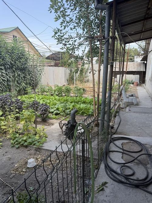 4-комнатный коттедж, 65 м²