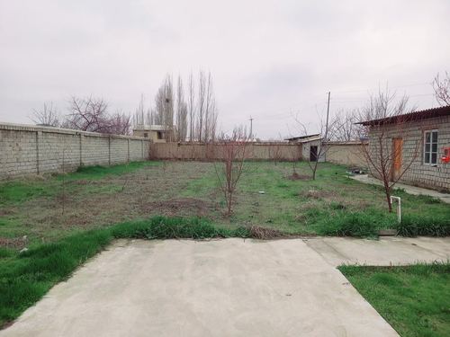 Yangi yulda 8 sutxli uchaska sotladi gaz sevet suv bor .